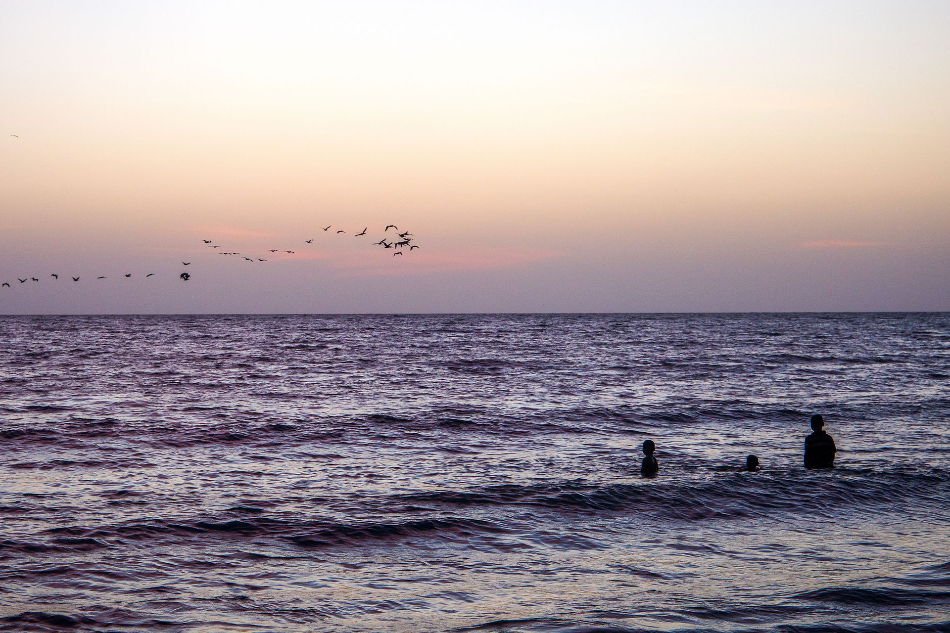 Des personnes regardant la mer et un groupe d'oiseaux volant au coucher du soleil.