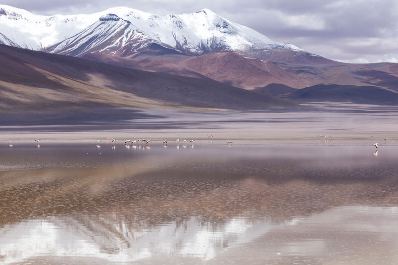 Sud Lipez en Bolivie