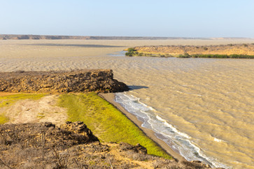Une plage recouverte d'algue verte, des eaux opaque légèrement marron, encore un magnifique paysage de la Guajira