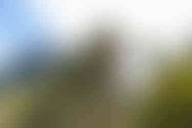 Le col de La Fourche, magnifique montagne abrupte