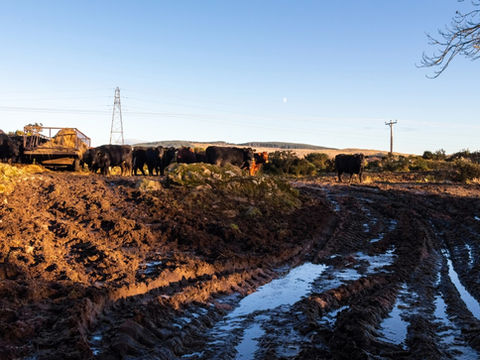 Smart Asphalt Solutions to Stop Mud and Erosion on Farmland