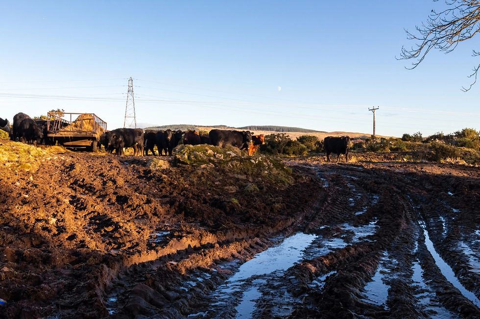 asphalt paving on agriculture roads