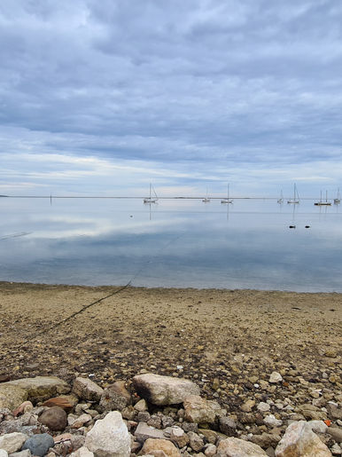 Kangaroo Island Easter STA/Respite Trip 2022