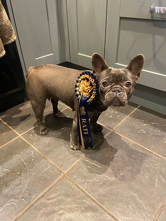 Penny Barnhunt2.jpeg