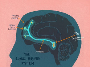 THE ANATOMY OF ADDICTION: WHY UNDERSTANDING THE PARTS CAN HELP OVERCOME THE WHOLE