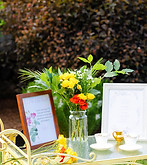 the backyard table