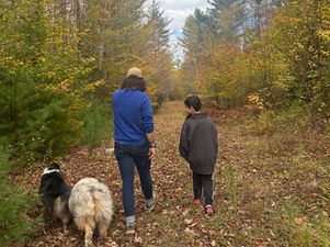 Just Another Day On The Farm