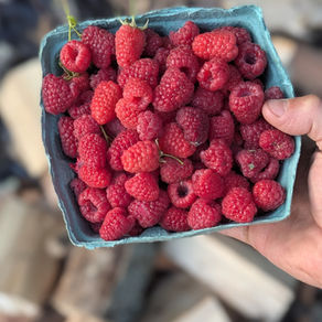 Summertime On The Farmstead