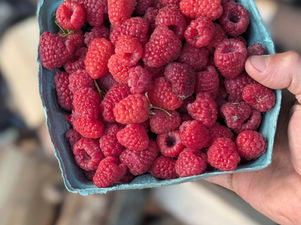 Summertime On The Farmstead