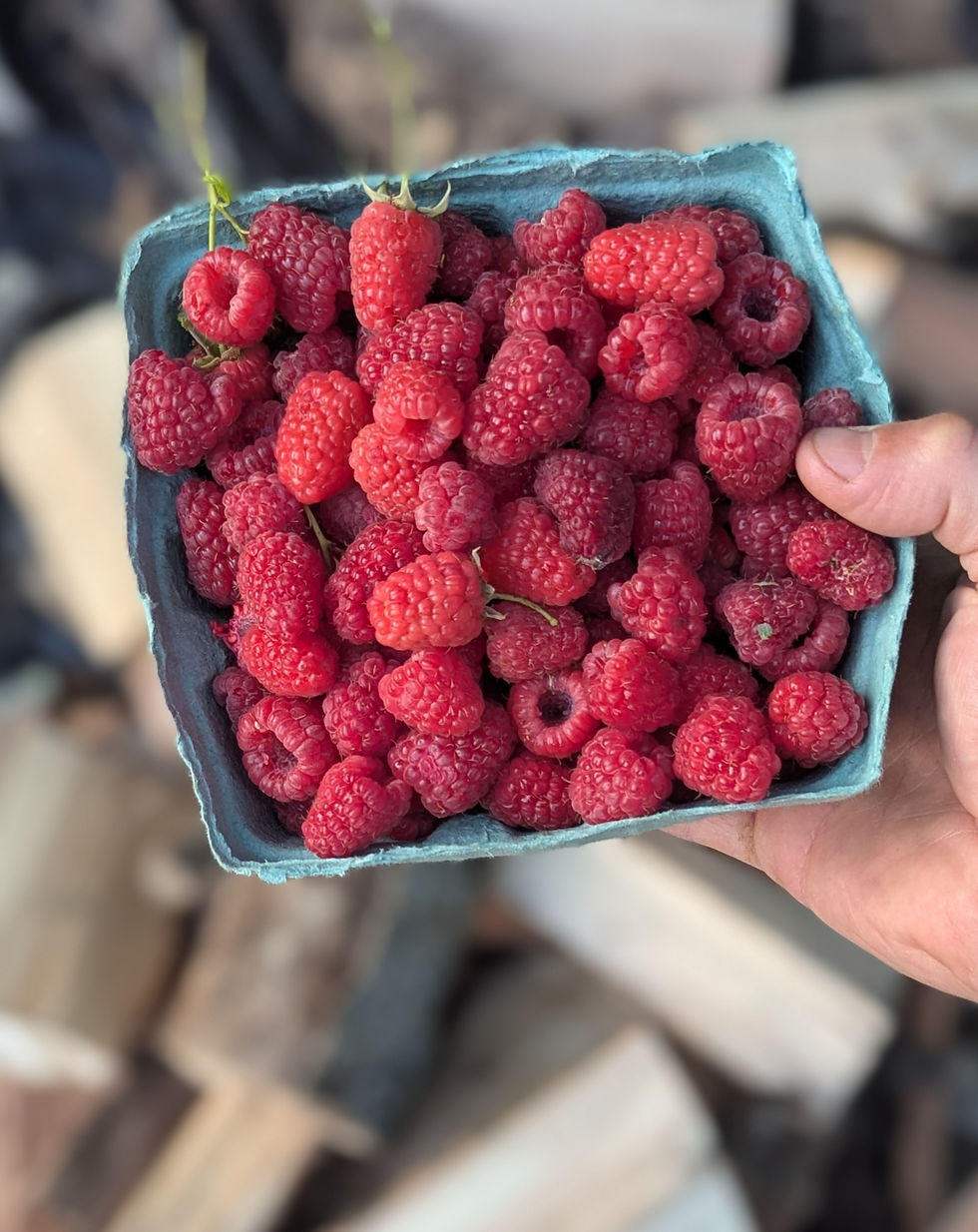 Summertime On The Farmstead