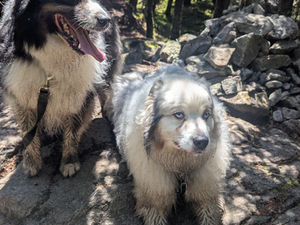 Nothin' To Do With Farming: Our Galehead Mountain Adventure!