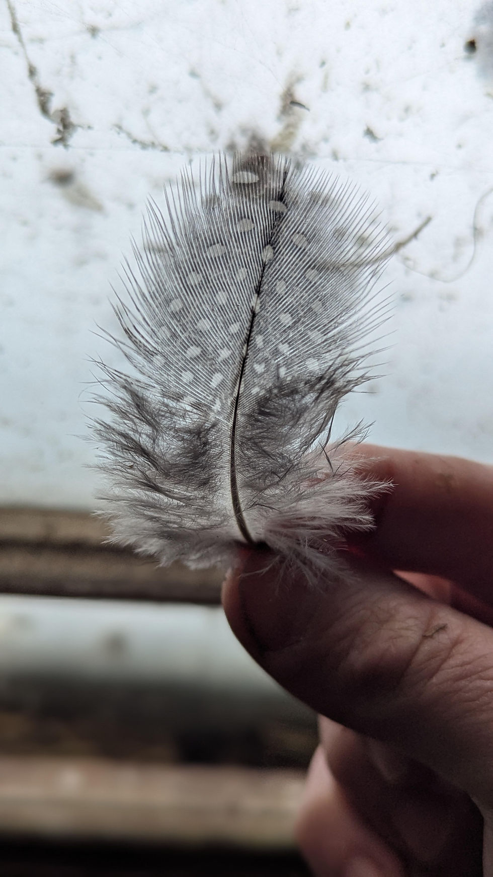 "I’m A Farmer Again. Rejoice!"