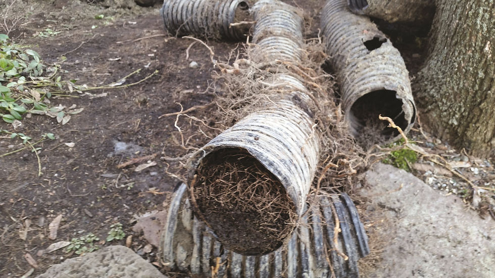 Exemple de drain bouché