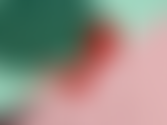 How to Handle Financial Red Flags in Your Business