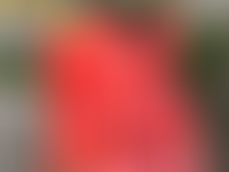 Stoicism, But for the Girls