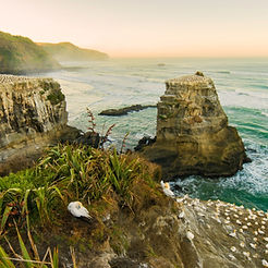 Sunset over the Muriwai Gannet Colony on Auckland's West Coast