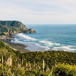 Panoramic view of Piha Beach on Auckland's rugged west coast.