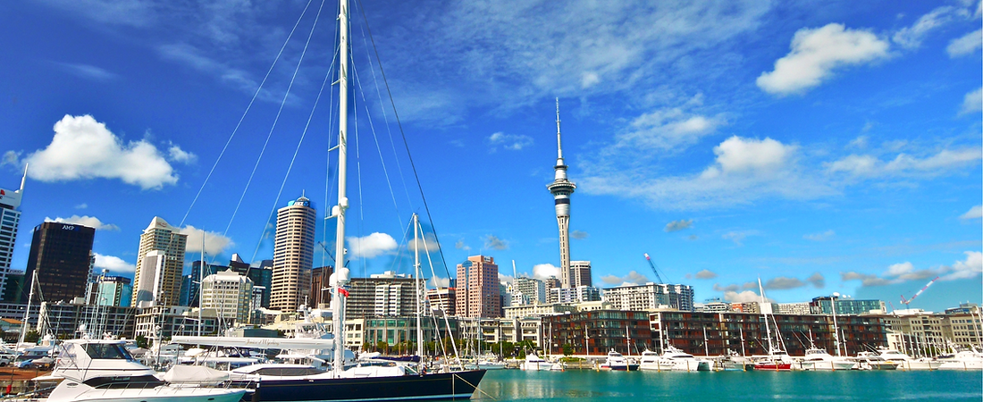 Sky Tower and Viaduct Harbour on the Intro to Auckland Tour.