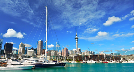 Sky Tower and Viaduct Harbour on the Intro to Auckland Tour.