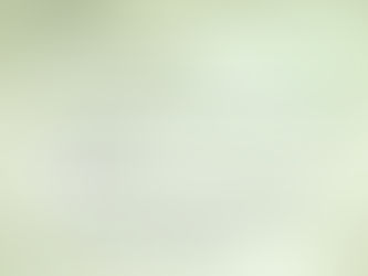 Wednesday, December 31, 2025