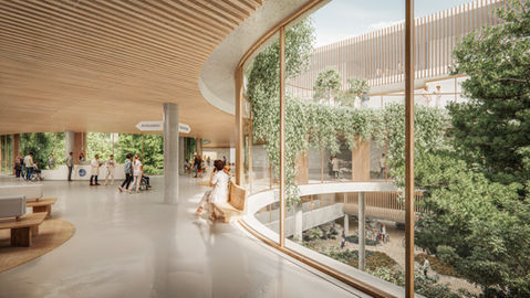 Competition visualization for hospital in La Saleggina
Bellinzona by RENWERK