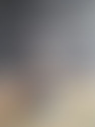 Solo-expositie van Suzan Ollebek