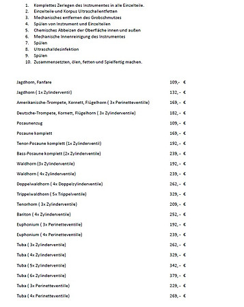 Preisliste_Chemische Reinigung_2025_Jahresinspektion_Durchsicht_Reparatur_Trompete Kornett