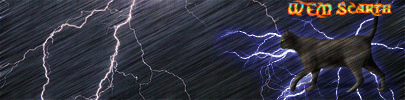 Wendi_s-cat-signature-rain