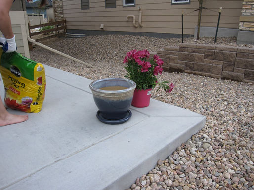 New Flower Pots
