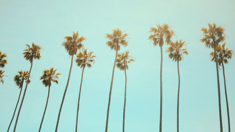 Going Back to Cali