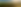 grape field.png
