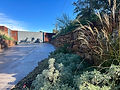 IMG_1058 (1).jpeg