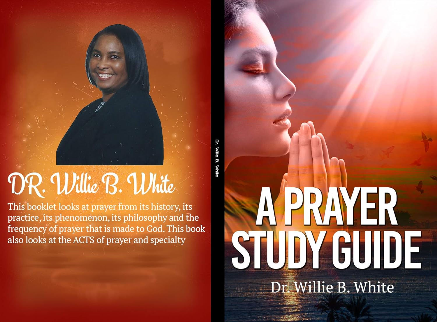 A Prayer Study Guide