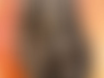 The Ultimate Guide to the Health Benefits of Papaya: A Tropical Superfood