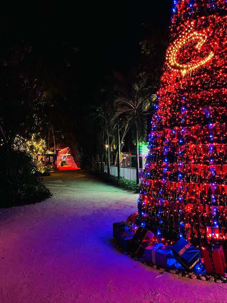 This Christmas Tree made out of empty beer bottle