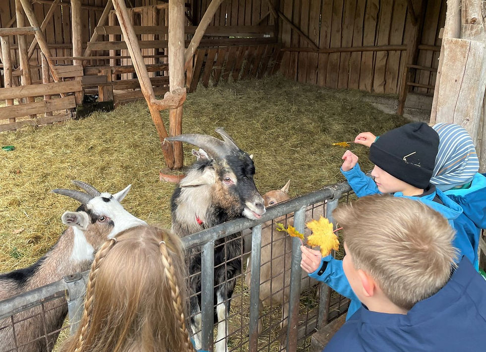 „Erlebnis Bauernhof“ in Oberbaimbach