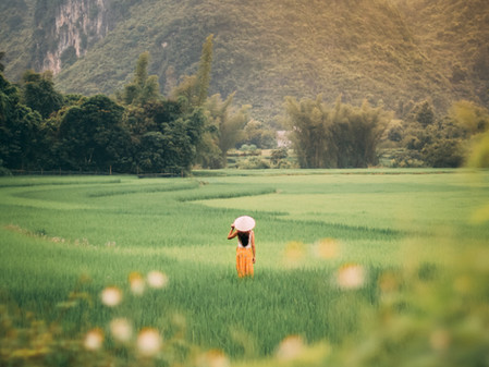 Enriching Experiences & The Wellbeing Matrix