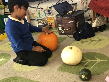 Reception Autumn term I, Week 6
