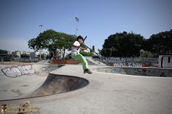 הקפאת תנועה (28).JPG