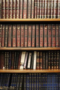 ספרים סימטריה שרון דרורי.jpg