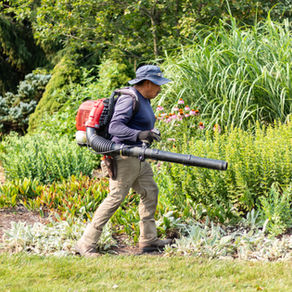 October Landscape Checklist