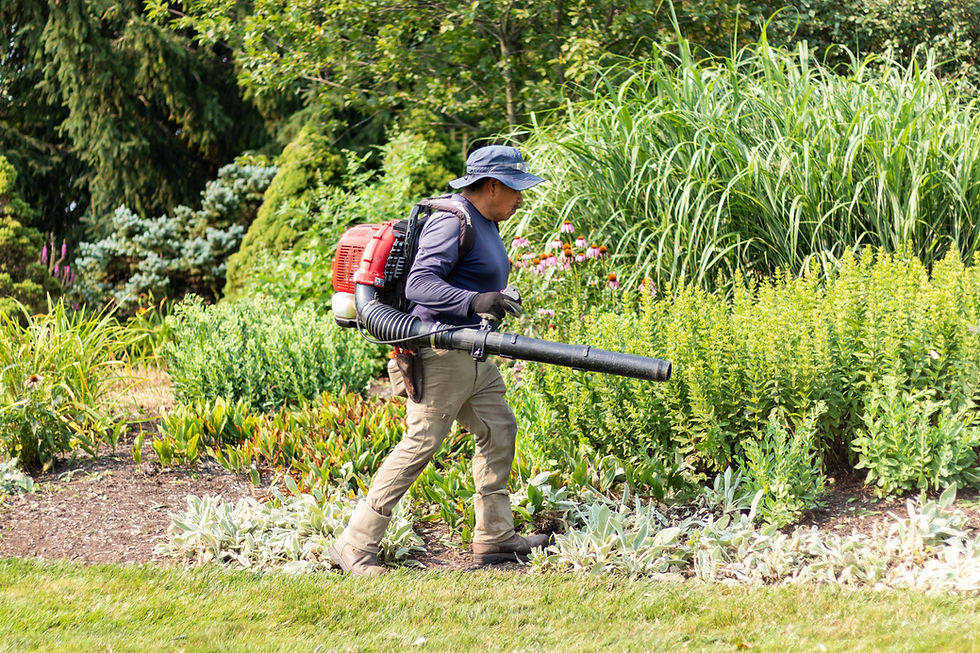October Landscape Checklist