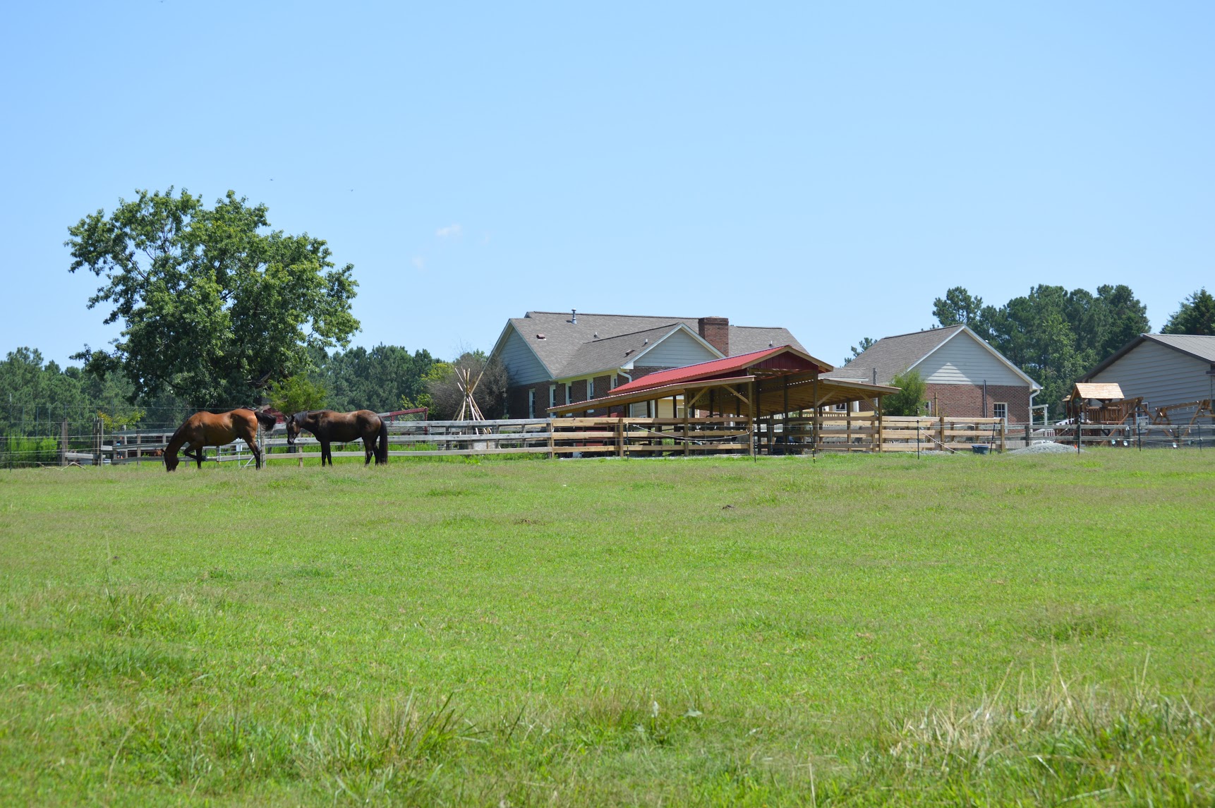 Sun Star Farm for Kids!