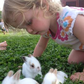 HaleyandBunnies.jpeg