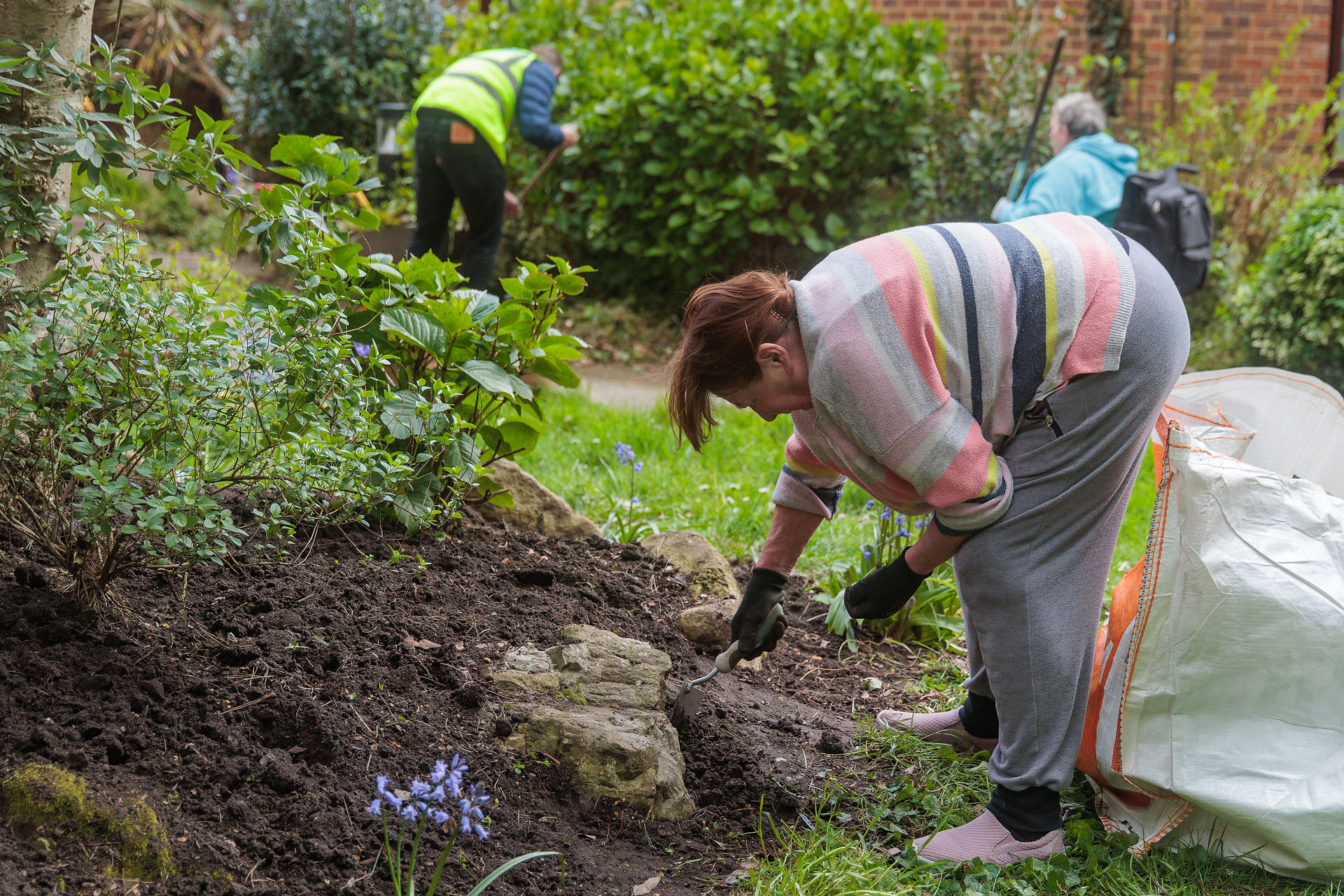 Volunteers gardening, planting flowers and improving a community garden, ecosafe.