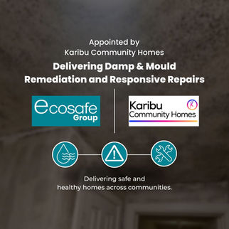 Commitment to Compliance and Tenant Wellbeing at the Heart of New Damp & Mould Partnership 