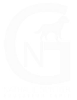 chien éducation canin éducateur dresseur comportementaliste balade mantrailing activité oise val d'oise 60 95