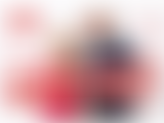 Frohe Festtage und ein glückliches neues Jahr wünscht das SPÖ Team 2301