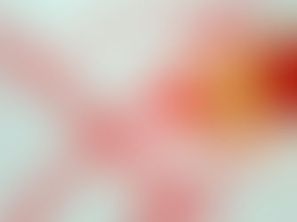 Information für Wähler*innen bei der Gemeinderatswahl 2025