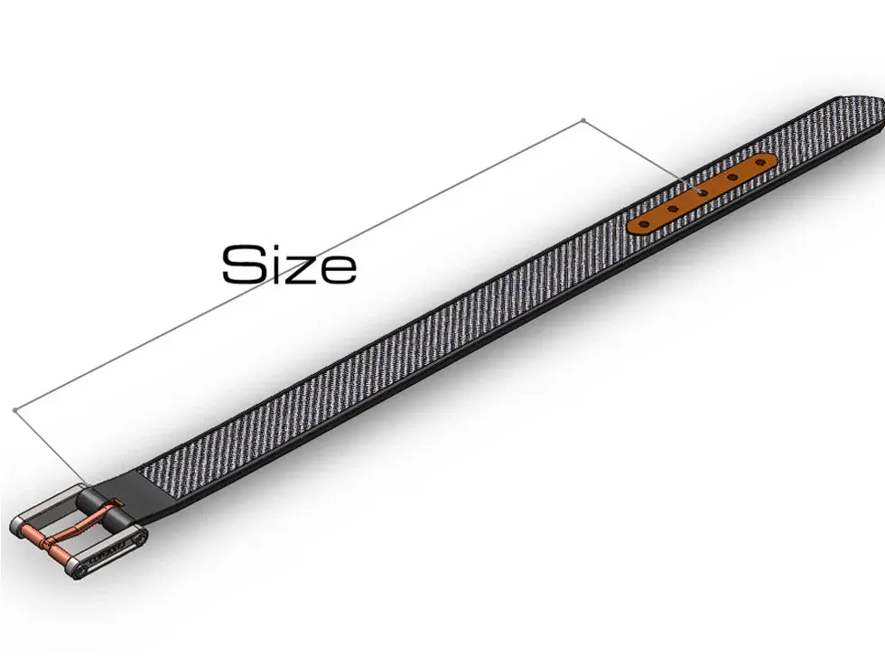 Thumbnail: Carbon Fiber Belt